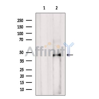 Валидация Affinity AF4099 - 2154