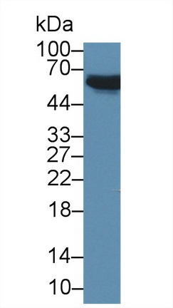 12849