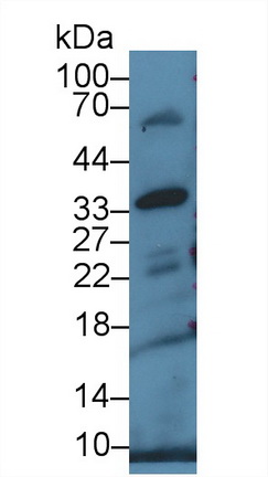 14730