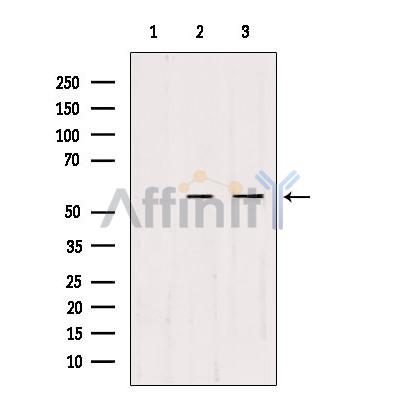 Валидация Affinity DF3379 - 14263