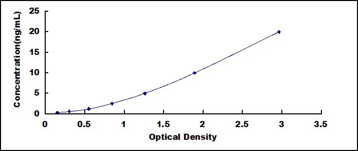 61078