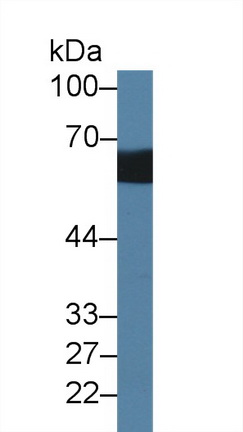 14374