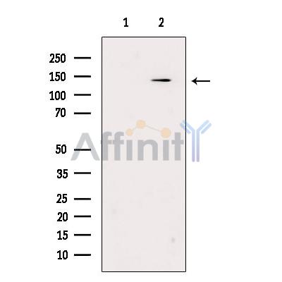 Валидация Affinity DF2260 - 12810
