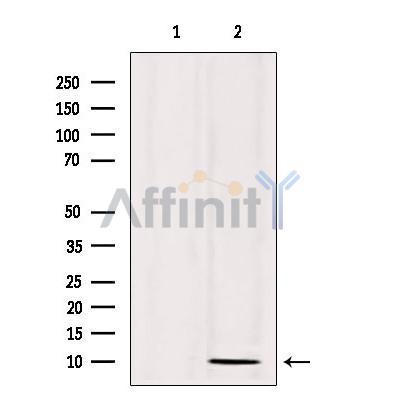 Валидация Affinity DF6239 - 17523