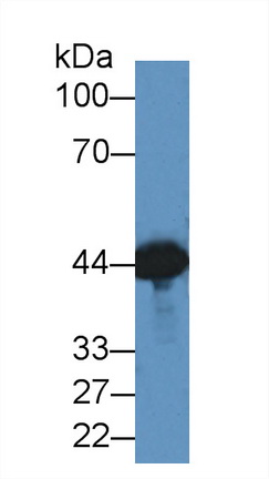 8350