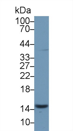 13680