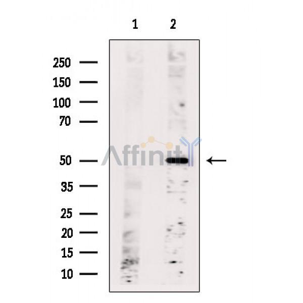 Валидация Affinity DF5116 - 17054