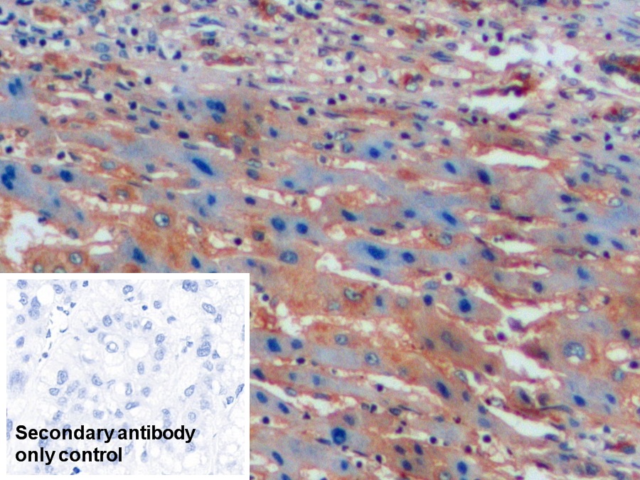 28825
