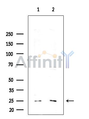 Валидация Affinity DF13913 - 9647