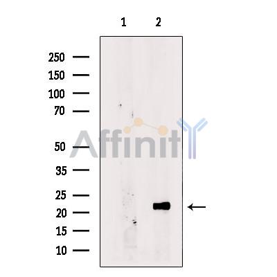 Валидация Affinity DF12364 - 6810