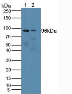 5409