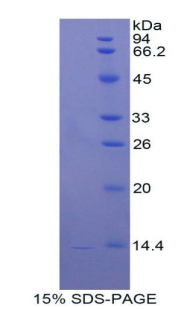 44251