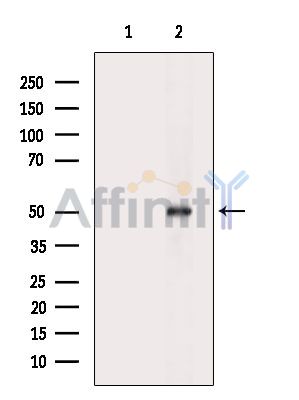 Валидация Affinity DF8406 - 20277