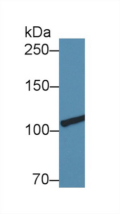 8928