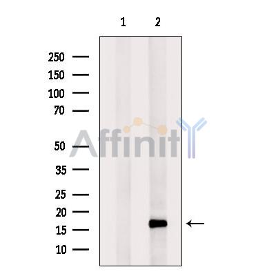 Валидация Affinity DF13428 - 8739