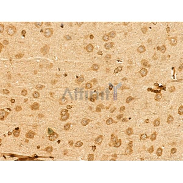 Валидация Affinity DF13350 - 8556