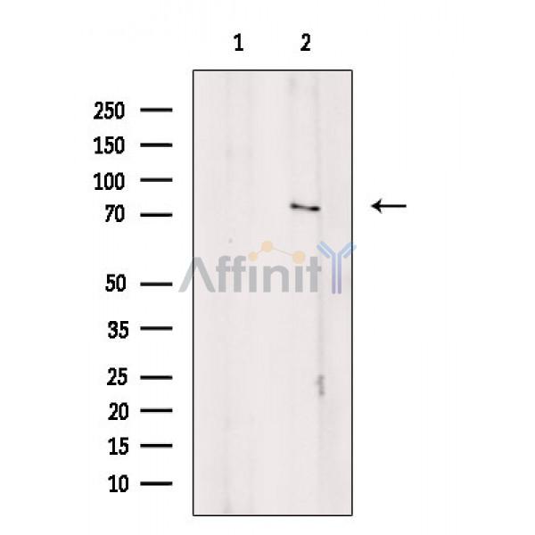 Валидация Affinity DF3767 - 14857