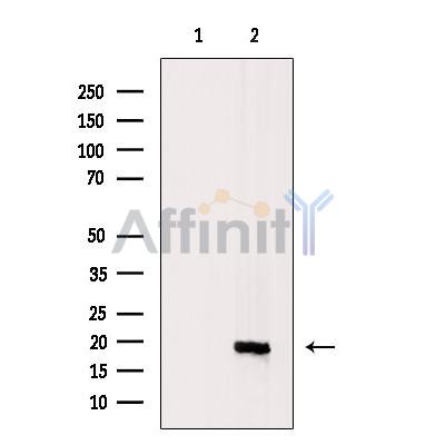 Валидация Affinity DF10189 - 5739