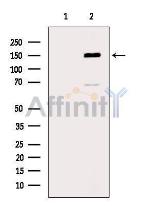 Валидация Affinity DF3810 - 14931