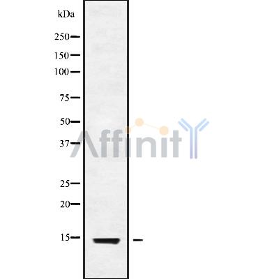 Валидация Affinity DF10005 - 5441