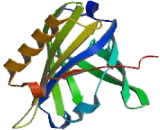 Prostaglandin D2 Synthase, Brain (PGD2S)