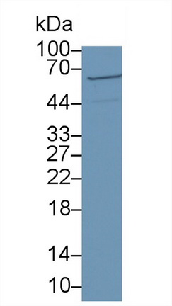 11289