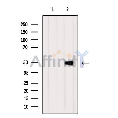 Валидация Affinity DF8545 - 20433