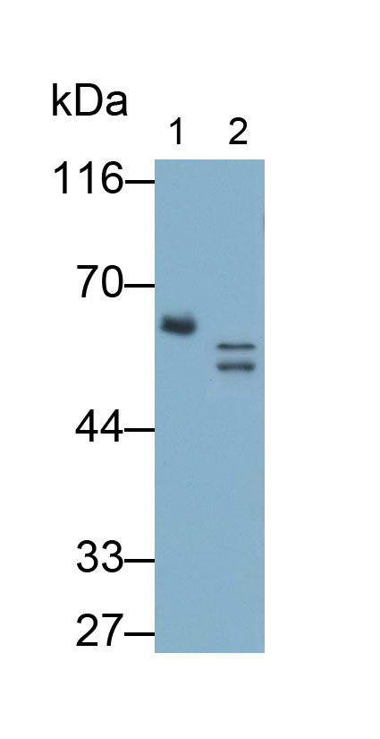 28395