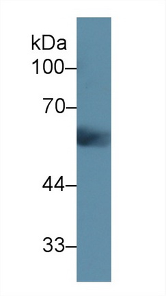 12346