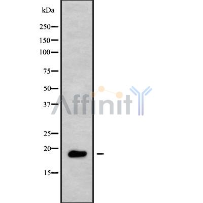Валидация Affinity DF10156 - 5685