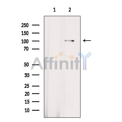 Валидация Affinity DF7319 - 19009