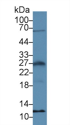 13927
