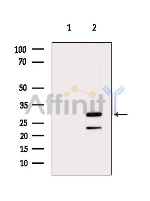Валидация Affinity DF4164 - 15494