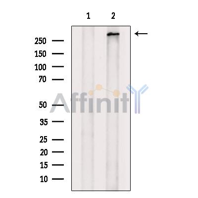 Валидация Affinity DF9244 - 21669