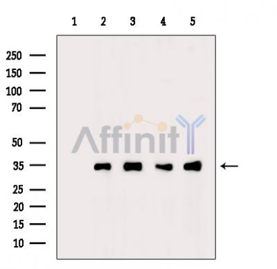 Валидация Affinity DF14734 - 10810