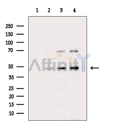 Валидация Affinity DF13788 - 9461