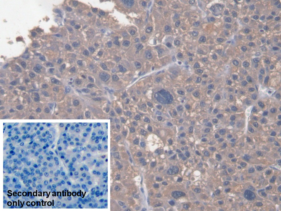 29876