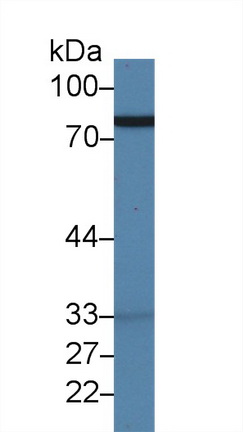 9887