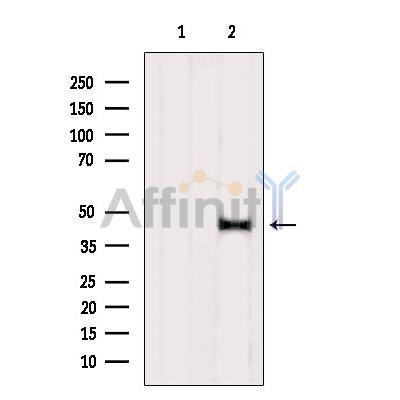 Валидация Affinity DF7354 - 19067