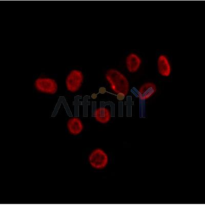 Валидация Affinity DF12176 - 6393