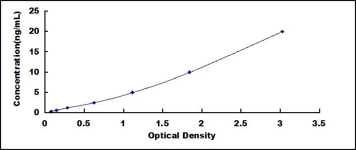 55988