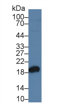 9373