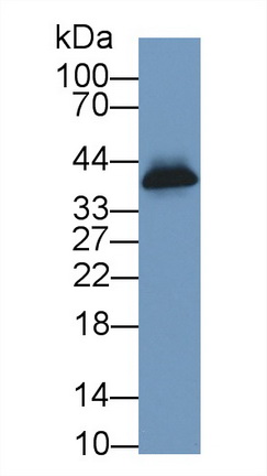13430