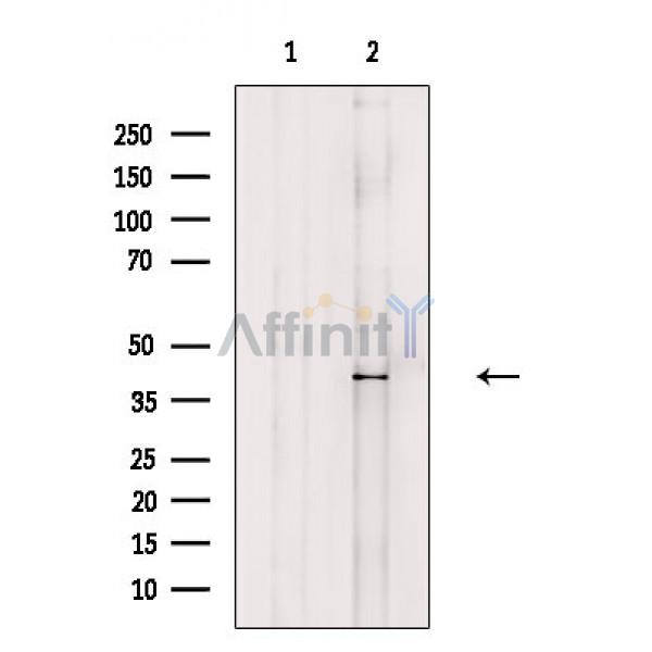 Валидация Affinity DF8600 - 20517