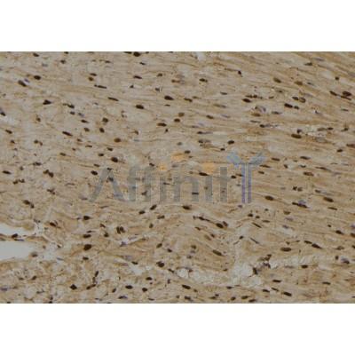 Валидация Affinity DF6539 - 17971
