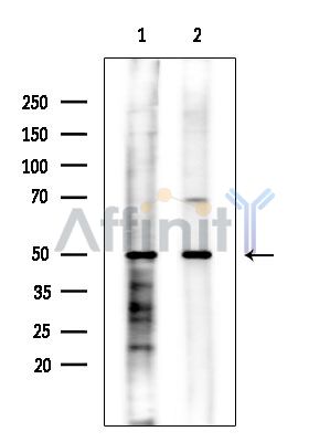 Валидация Affinity DF14259 - 10114