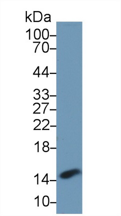 13678