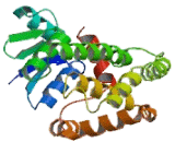 Glutathione S Transferase Alpha 4 (GSTa4)