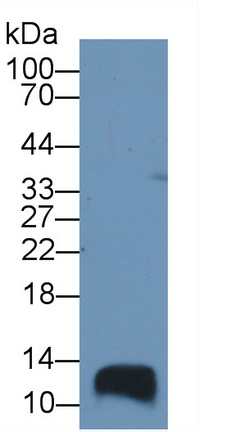 64325