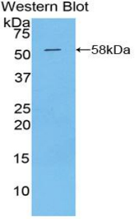 39674